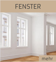 FENSTER mehr